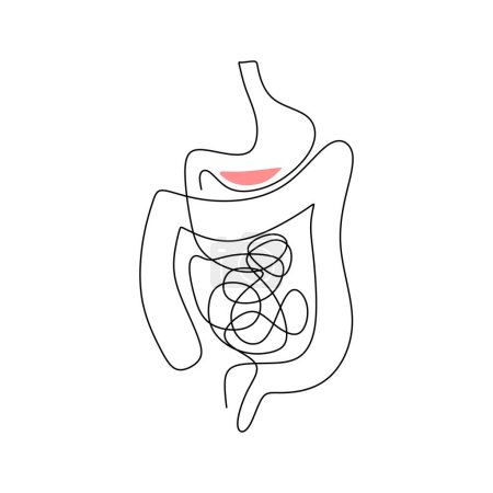 Téléchargez les illustrations : L'intestin humain dessine une ligne. Processus de digestion de l'estomac. Illustration vectorielle des soins de santé concept. - en licence libre de droit