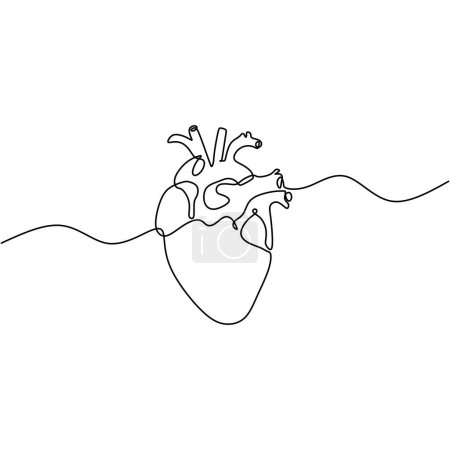 Illustration for Heart continuous one line drawing. Human organ hand drawn outline vector illustration. Simplicity design minimalist. - Royalty Free Image