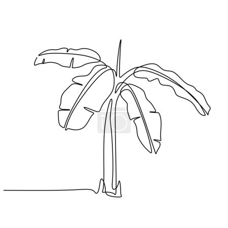 Ilustración de Planta de plátano una línea continua de dibujo. Ilustración vectorial aislada. Diseño minimalista a mano. - Imagen libre de derechos