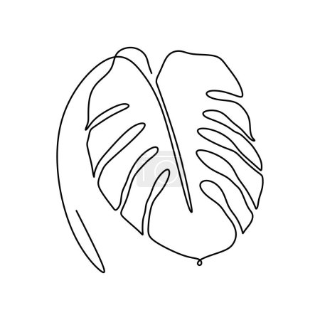 Illustration for Monstera leaf single line art drawing. Vector illustration isolated. Minimalist design handdrawn. - Royalty Free Image