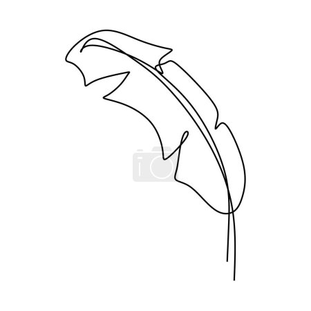 Illustration for Banana leaf single line drawing. Vector illustration isolated. Minimalist design handdrawn. - Royalty Free Image