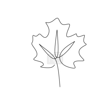 Illustration for Maple leaf continuous line art drawing. Vector illustration isolated. Minimalist design handdrawn. - Royalty Free Image