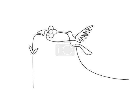 Téléchargez les illustrations : Colibri continu un dessin d'art linéaire. Oiseau volant avec fleur de beauté. Illustration vectorielle isolée. Design minimaliste dessiné à la main. - en licence libre de droit