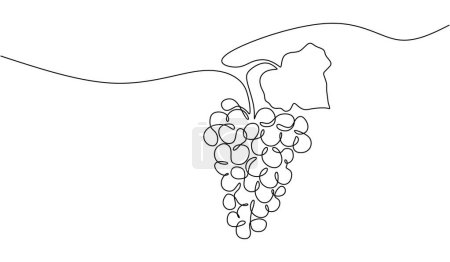 Ilustración de Línea continua dibujando fruta de uva. Comida saludable concepto orgánico natural. Ilustración vectorial carrera editable. - Imagen libre de derechos
