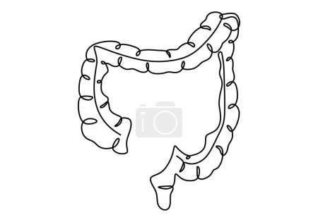 Illustration for Large intestine one continuous line drawing. - Royalty Free Image