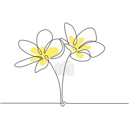 Illustration for Plumeria flowers vector. One continuous line art drawing. Exotic tropical plant. Vector illustration isolated. Minimalist design handdrawn. - Royalty Free Image
