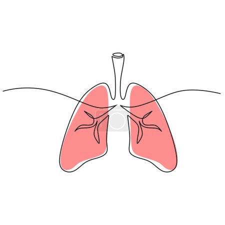 Illustration for Lungs one line drawing. Respiratory of human anatomy organ. - Royalty Free Image
