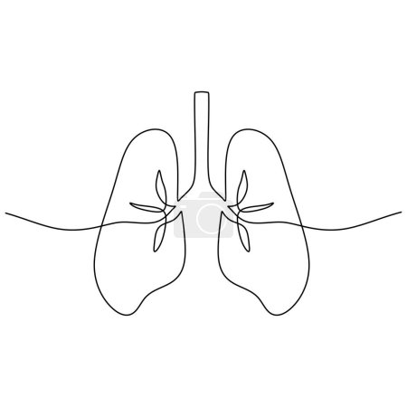Téléchargez les illustrations : Poumons dessin d'une ligne. Organe respiratoire de l'anatomie humaine. - en licence libre de droit