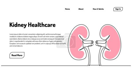Illustration for Human kidneys one line drawing. Continuous single hand drawn organs. Vector illustration minimalist healthcare anatomy landing page template. - Royalty Free Image
