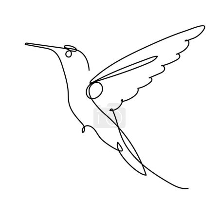 Téléchargez les illustrations : Colibri continu un dessin d'art linéaire. La beauté des oiseaux volants. Illustration vectorielle isolée. Design minimaliste dessiné à la main. - en licence libre de droit