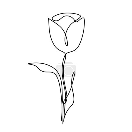 Ilustración de Flor de tulipán en continuo dibujo de una línea. Planta bosquejo art. Ilustración vectorial aislada. Diseño minimalista a mano. - Imagen libre de derechos