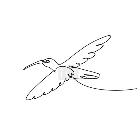 Ilustración de Colibrí continuo dibujo de una línea de arte. Pájaro volador belleza animal. Ilustración vectorial aislada. Diseño minimalista a mano. - Imagen libre de derechos