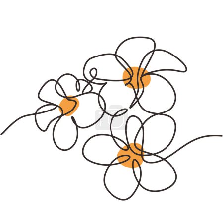 Illustration for Plumeria flowers vector. One continuous line art drawing. Exotic tropical plant. Vector illustration isolated. Minimalist design handdrawn. - Royalty Free Image