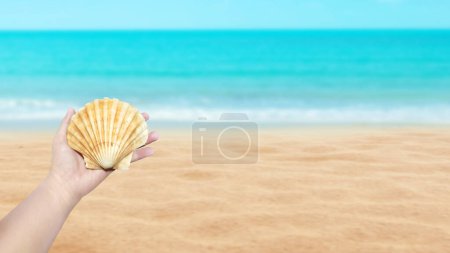 Sea shells in hands  beach lifestyle