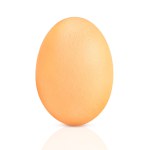 Chicken eggs on white background with reflection