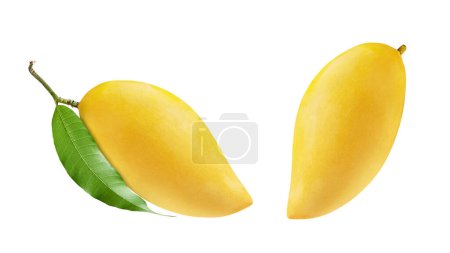 Ripe Mango with green leaf isolated on white background. Clippin