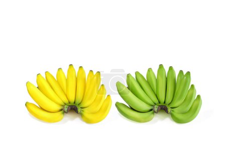 Plátano crudo y plátano maduro aislado sobre fondo blanco con cro
