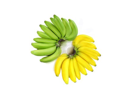 Plátano crudo y plátano maduro aislado sobre fondo blanco con cro