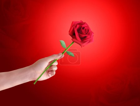 mains tenant des roses vers l'avant Fond rouge avec de fines roses rouges en arrière-plan.