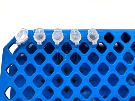 Mikro-Reagenzglas auf blauem Rack