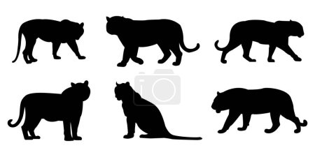 Ilustración de Conjunto de vector de silueta de tigre, ilustración de vector de logotipo - Imagen libre de derechos