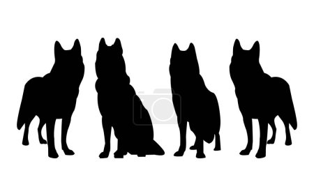 Illustration for Set of black silhouette German shepherd dog in various poses on white background, animal Silhouettes of a pet dog. - Royalty Free Image