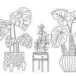 House potted plant, decorative doodle outline set. Exotic houseplants flowerpot for interior. Botanical house indoor blooming plants in pot, linear potted ceramic. Isolated jungle sketch vector