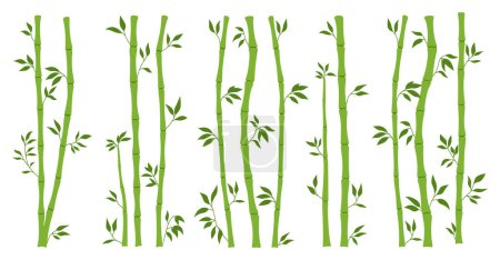 Téléchargez les illustrations : Bamboo green stem bundle and leaf borders set. Exotic decoration elements fresh plant, rain forest greenery flat style. Painted Asian traditional tree leaves and sticks branches bamboo collection - en licence libre de droit