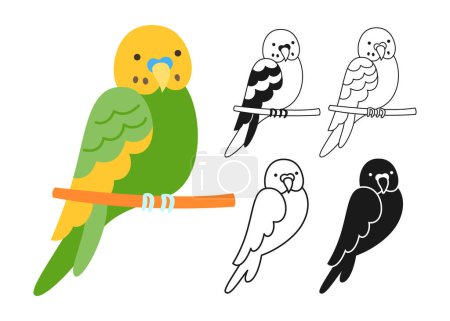 Parrot tropical bright cartoon set. Exotic budgerigar parrots sitting drawing outline sign or engraved childish summer collection. Wildlife jungle Hawaiian cute wild bird, funny vivid character vector