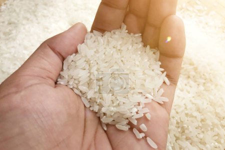granos de arroz blanco en la palma desde un ángulo alto