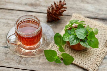 Daun sirih cina or Peperomia pellucida herbal tea. Also known as pepper elder. Wooden table background.alternative medice or herbal drink.flat lay angle.