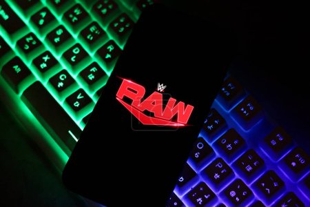 Téléchargez les photos : Dans cette illustration photo, le logo de WWERaw est affiché sur un écran de smartphone. Indonésie - 21 mai 2024. - en image libre de droit