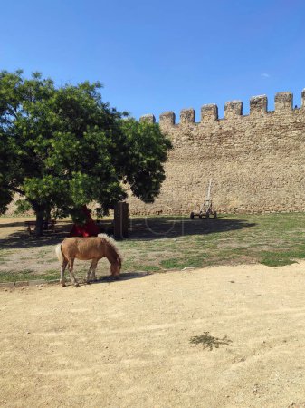 courtyard of a castle, fortress, cathedral, fort, horse and tree and fortification wall