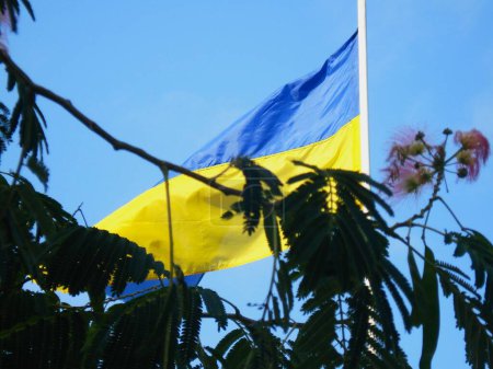 Ukrainian flag, symbol, coat of arms, against the background of the sky and tree branches, Ukraine