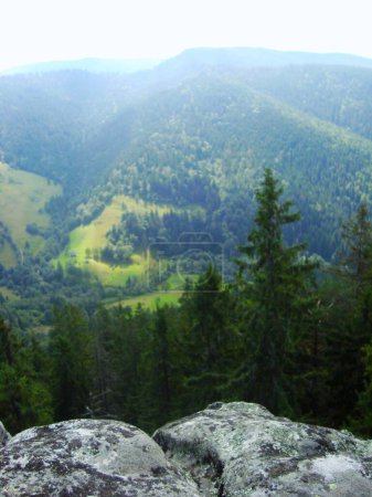 view from the mountain to foggy fields, Carpathians, Alps, rock, lowland, valley, coniferous forest, top view