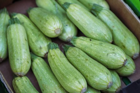 Photo for Pile of Green zucchini on the counter in the food store. Light green fresh zucchini stacked in a heap at the street bazaar.  Vegetable market. Summer squash. Close-up. Selective focus. - Royalty Free Image