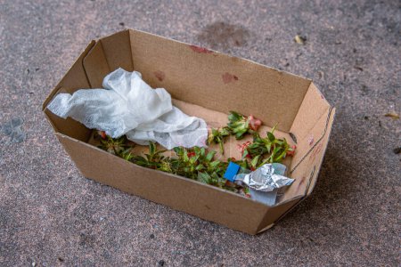 Food leftovers after picnic thrown into the craft paper box left on the street. Strawberries green tops, used wipe, plastic packaging put into the carton container. Food wastes, garbage, trash, junk.