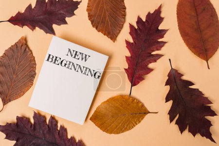Un morceau de papier blanc avec les mots New Beginning écrit dessus est placé sur un tas de feuilles d'automne