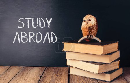 A chalkboard with the words Study Abroad written on it. A small owl figurine is sitting on top of a stack of books