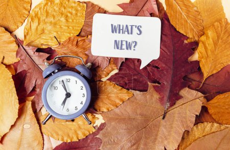 A clock is on a pile of leaves with the words What's new written above it. Concept of change and new beginnings, as the leaves are falling and the clock is a symbol of time passing