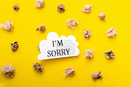 A yellow background with a white sign that says I'm sorry on it. The sign is surrounded by shredded paper, giving the impression of a messy or chaotic scene. Scene is one of apology or remorse