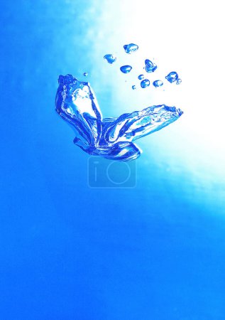 burbuja de aire bajo el agua, en forma de pájaro