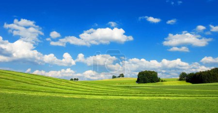 Grün gemähte Wiese, blauer Himmel, weiße Schönwetterwolken, Landschaft bei Berg, Starnberger See, Bayern, Deutschland, Europa