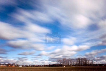 landscape with field and bleak small wood and white clouds blurred, drifting, Munich, Bavaria, Germany