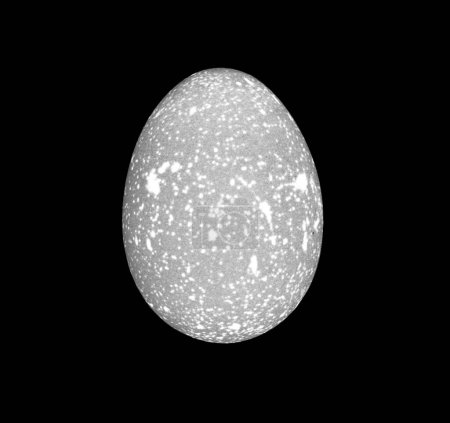 un huevo de gallina con poros visibles en la cáscara translúcida