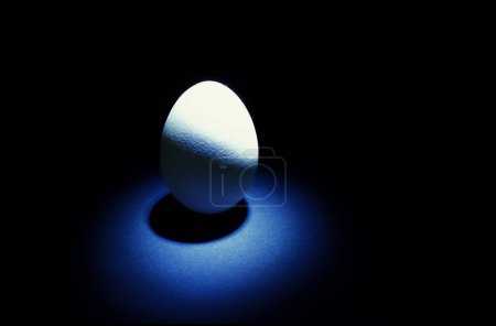 Nahaufnahme von einem einzigen weißen Ei, Studio