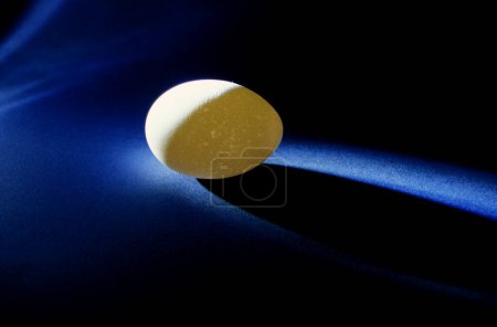 primer plano de un solo huevo blanco, estudio