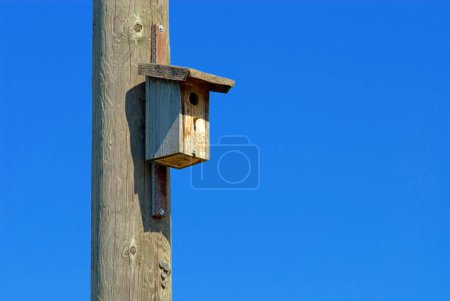 ein einfacher hölzerner Nistkasten hängt an einem hölzernen Telefonmast, blauer Himmel