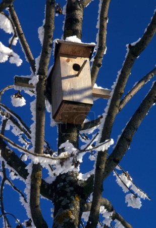 Foto de Una simple caja de anidación de madera, invierno, cielo azul - Imagen libre de derechos