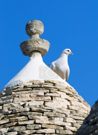 Nahaufnahme von Konus- oder Kegeldach von Trullo gegen blauen Himmel mit weißer Taube, Taube, in der Stadt Alberobello, Apulien, Italien, Europa, Trulli